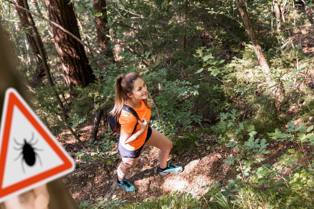A woman hiking in a forest that has a warning sign for ticks 